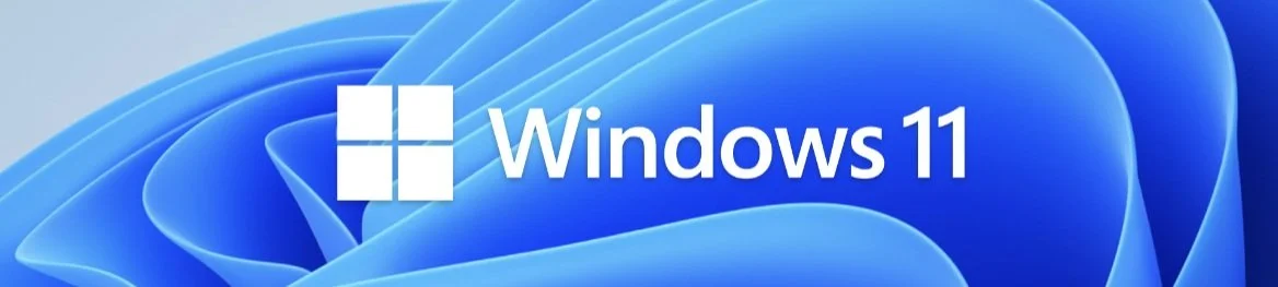 Windows 11 visual language reference
